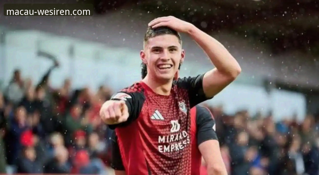 阿根廷新星帕尼切利重伤分析：专业数据解读与战术影响评估教程