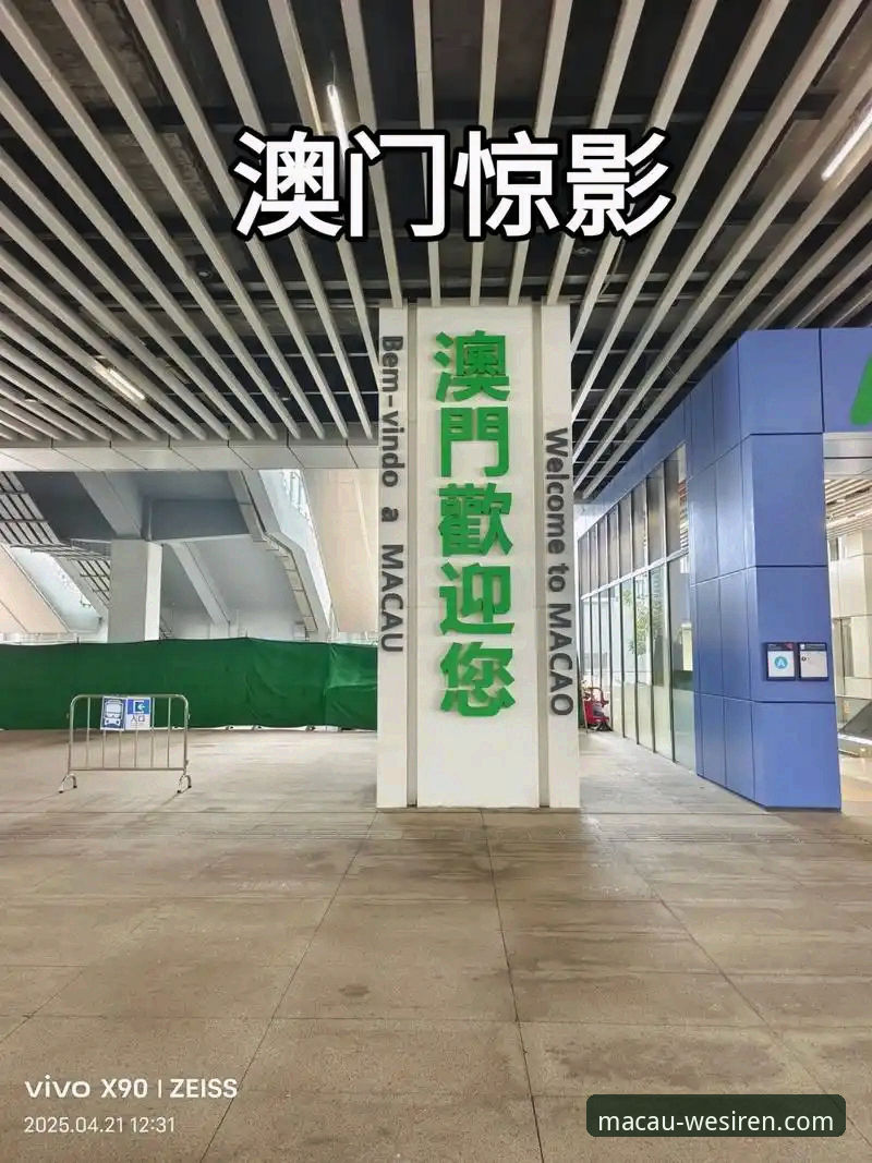 澳门威斯人官网新手入门实用指南：从注册到移动端畅玩的完整攻略