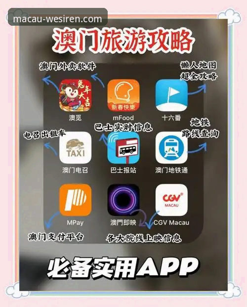 澳门威斯人官网登录与使用全指南：资深用户深度体验分享